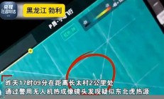 專家分析：傷人老虎可能來源于俄羅斯地區(qū) - 副本