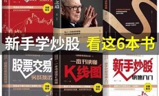 基金理財(cái)知識(shí)入門基礎(chǔ)知識(shí)-纏論炒股入門-零基礎(chǔ)學(xué)纏論(炒股纏論理論書有哪些)