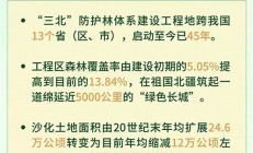 數(shù)讀我國防沙治沙成績單熱(全國防沙治沙規(guī)劃)