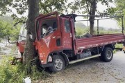 司機(jī)撞樹騙保致命 保險公司如何防范此類事件