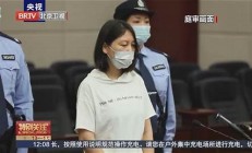 重大惡性犯罪案件的法律懲罰與從嚴(yán)懲治的社會(huì)反響(發(fā)生重大惡性案件的追究人員責(zé)任)