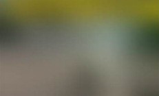 傷人事件頻發(fā)，專家稱老虎或來自俄羅斯(俄羅斯來的老虎)