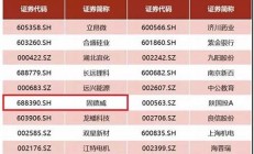 上證380價(jià)值指數(shù)上漲(華寶上證180價(jià)值指數(shù)的風(fēng)格)