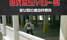 熊里熊氣的樹：它是如何適應(yīng)環(huán)境的？(熊適合什么氣候)