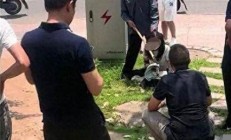 警方通報男子持棍欲毆打交警(蘇州警方通報男子持)