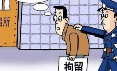 男子家暴致妻子死亡，法律如何保障家庭成員的安全