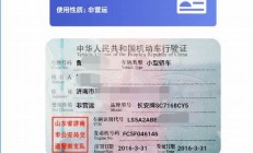 機(jī)動車行駛證電子化來了熱(行駛證電子版本怎么搞)