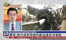 專家稱傷人老虎或從俄羅斯流入中國(俄羅斯老虎跑回國)
