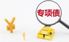 新增專項債券基本發(fā)行完畢新(2021年新增專項債券項目資金需求的通知)
