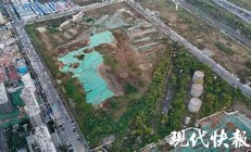 三國重臣張昭墓在南京找到了(張昭遺體告別)