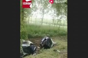 司機(jī)撞樹身亡背后隱藏的騙保手段 保險公司如何應(yīng)對(故意開車撞樹保險拒絕賠償)