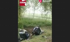 司機撞樹身亡背后隱藏的騙保手段 保險公司如何應(yīng)對(故意開車撞樹保險拒絕賠償)