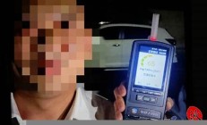 駕車撞樹騙保身亡 保險欺詐案件如何防范與打擊(開車撞樹上保險怎么賠買的是全險)