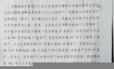 合肥房姐李梅房拍賣結(jié)束，影響深遠的市場事件(合肥房產(chǎn)視頻) - 副本