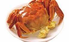 11月4日調(diào)整后的油價(jià)公布(油價(jià)11月5日)