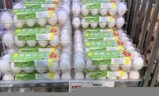 日本禽流感疫情再次爆發(fā) 養(yǎng)殖業(yè)面臨嚴峻考驗