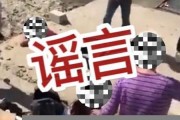 學(xué)生因掛失聯(lián)溺亡，教育體制需如何改進(jìn)？
