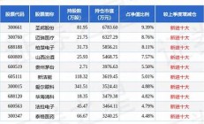 嘉實優(yōu)質(zhì)精選混合型證券投資基金-專注優(yōu)質(zhì)企業(yè)(嘉實優(yōu)質(zhì)混合a基金今天上市)